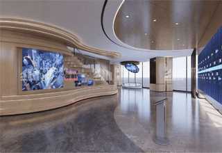 杨浦区无毛猫咪定制选购报价