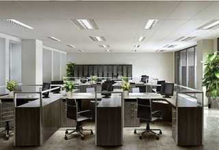 茂南区餐饮行业网络推广哪家好