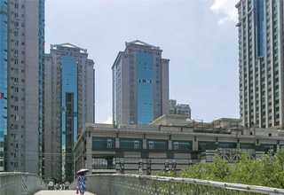 安溪水泥实心砖